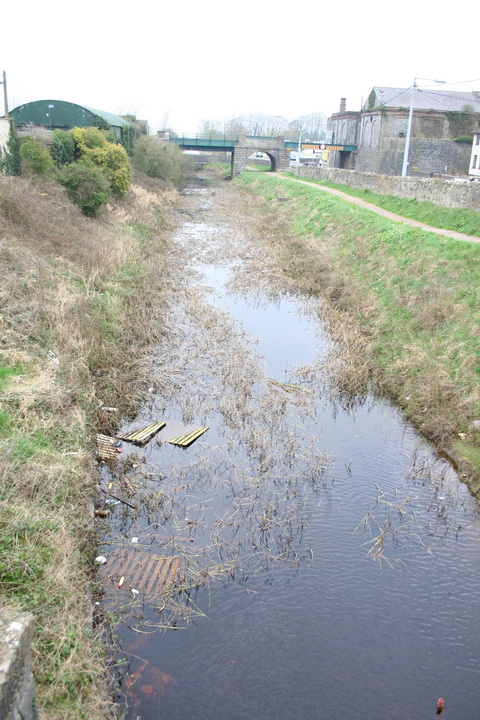 Athlone canal 20120314 38_resize