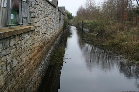 Athlone canal 20120314 45_resize