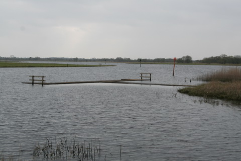 Athlone canal 20120314 47_resize
