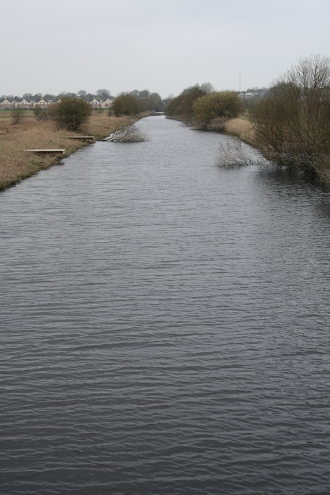 Athlone canal 20120314 51_resize