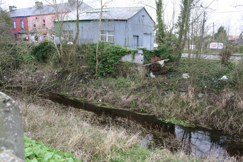 Athlone canal 20120314 61_resize