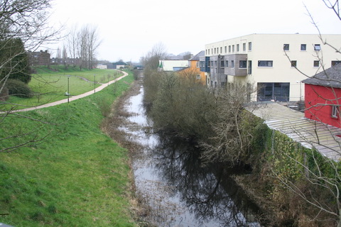 Athlone canal 20120314 67_resize