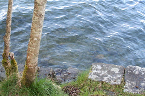 Clear water in the intake_resize