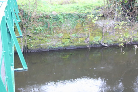 Curious structure 01_resize