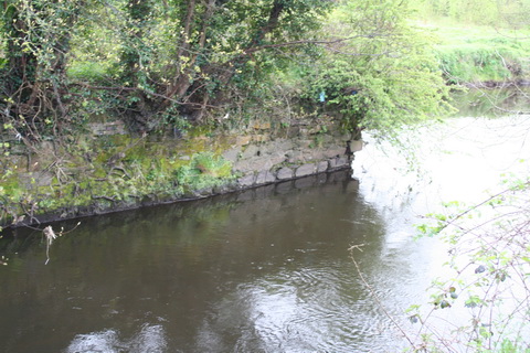 Curious structure 02_resize