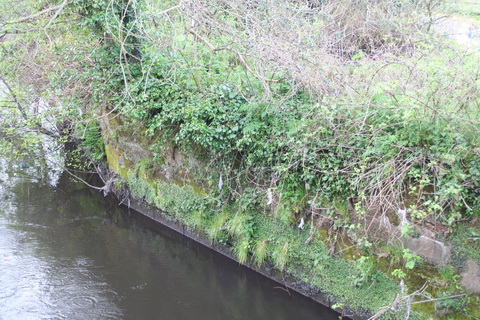 Curious structure 03_resize