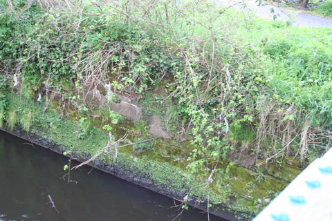 Curious structure 04_resize