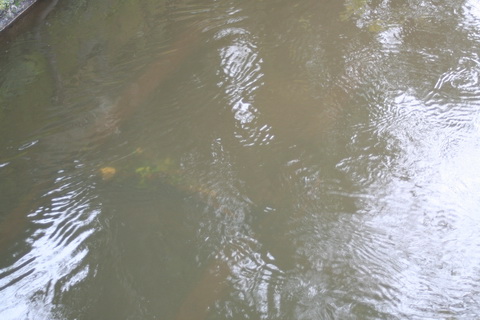 Curious structure 06_resize