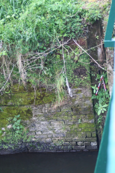 Curious structure 08_resize