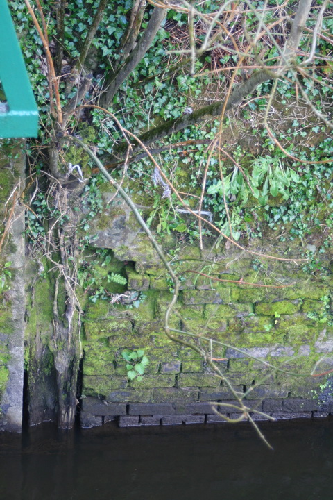 Curious structure 09_resize