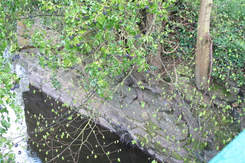 Curious structure 10_resize