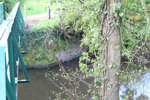 Curious structure 12_resize