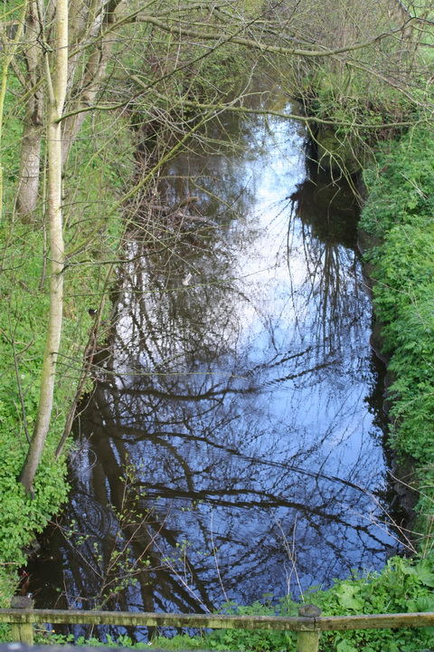 Looking downstream from the bridge_resize