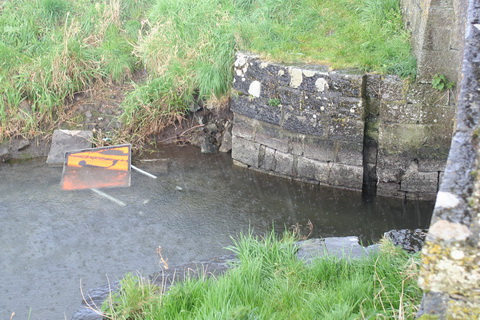 Lough Owel feeder entering canal at Mullingar 06_resize