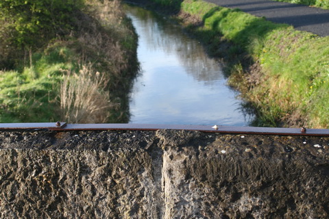 Lough Owel feeder entering canal at Mullingar 08_resize
