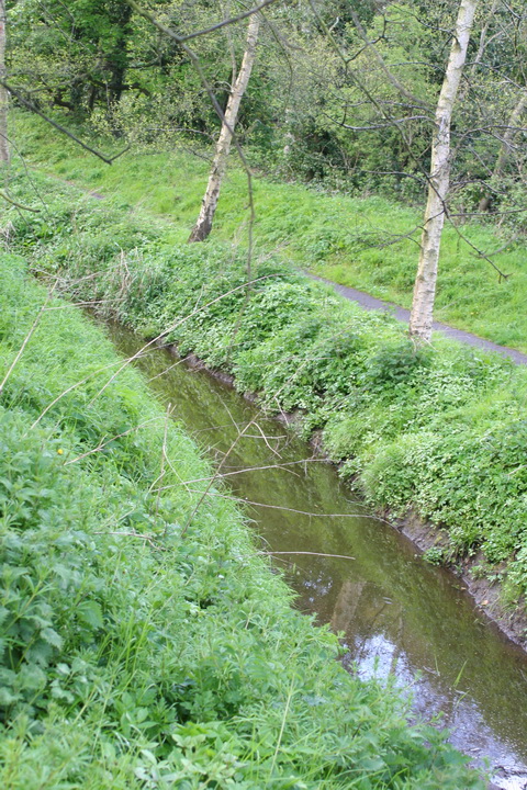 Where the canal isn't any more 02_resize