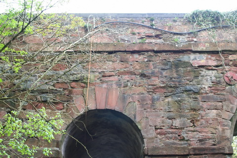Ballyskeagh High Bridge on the Lagan 11_resize