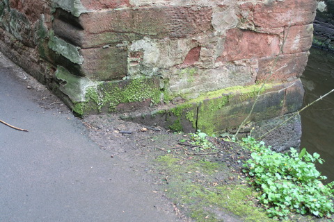 Ballyskeagh High Bridge on the Lagan 14_resize