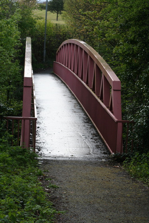 Ballyskeagh High Bridge on the Lagan 27_resize