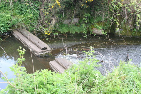 Ballyskeagh Lock on the Lagan 02_resize