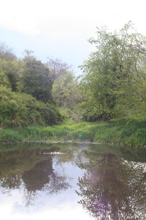 Ballyskeagh pool and layby on the Lagan 04_resize