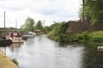 Killaloe trees June 2012&nbsp;01