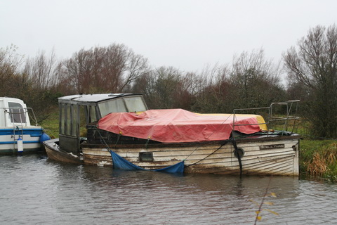 Scallywag at Shannon Harbour December 2012 20_resize