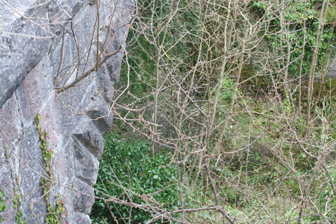 Cong canal Drumsheel bridge 02_resize