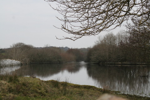 Cong canal Drumsheel Lower to Barna 13_resize