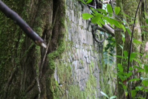 Cong canal Lock 1 10_resize