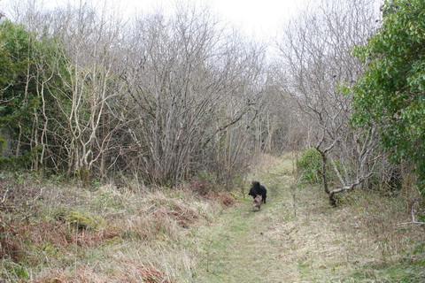 Cong canal Lock 3 11_resize