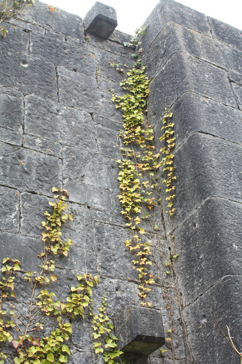 Cong canal Lock 3 26_resize