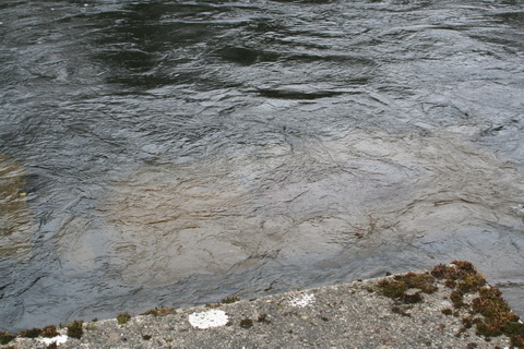 Cong canal upper end 12_resize