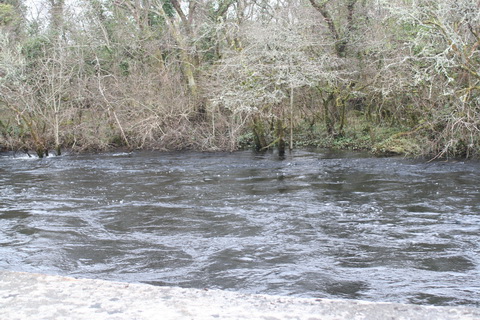 Cong canal upper end 16_resize