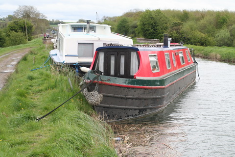 Barrow Otter between the aqueducts