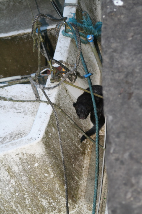 Belle at Barley Harbour 05_resize