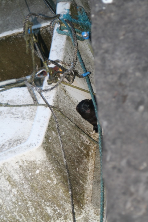 Belle at Barley Harbour 06_resize