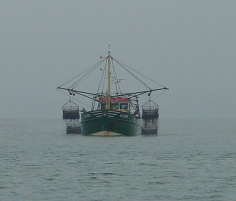 wexford mussel dredgers 06