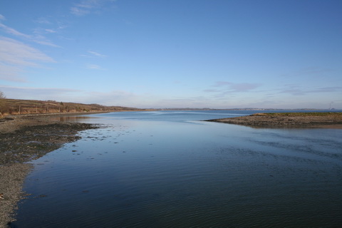 Querrin in February 4_resize