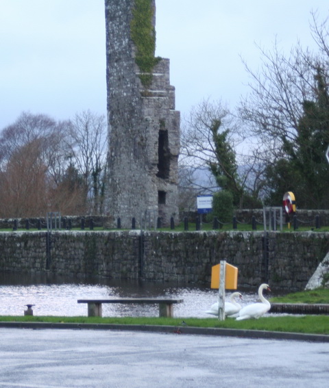 Garrykennedy 20131227 02_resize