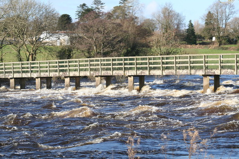 Castleconnell water level 20140210 264_resize