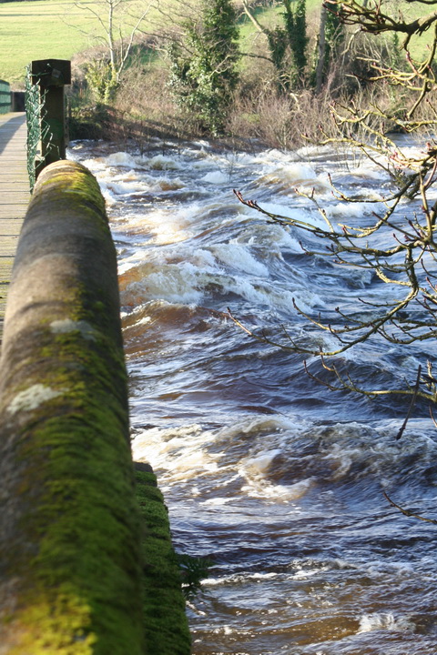 Castleconnell water level 20140210 267_resize
