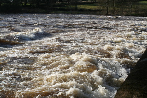 Castleconnell water level 20140210 269_resize