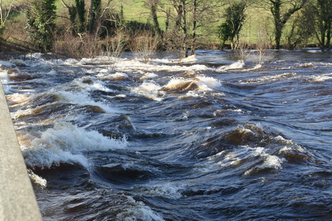 Castleconnell water level 20140210 271_resize