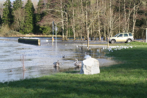 Castleconnell water level 20140210 273_resize