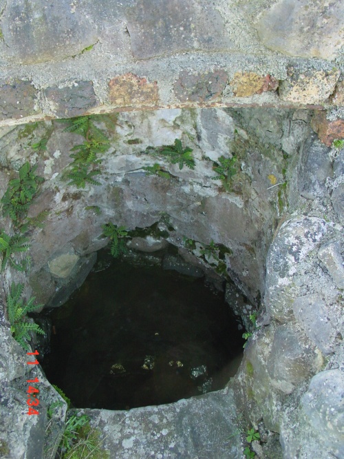 St Sarans Well near Shannonbridge 04_resize