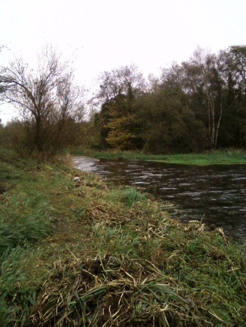 Looking up Lacy's Canal from Lough Ennell