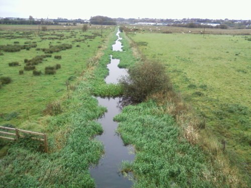 Looking upstream from Joe Dolan Bridge (Mick Farrell)
