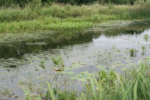 Barrow Line 20140721 06_resize
