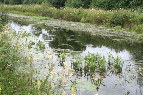 Barrow Line 20140721 08_resize